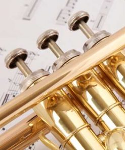 Services For Education - Music Service - french horn